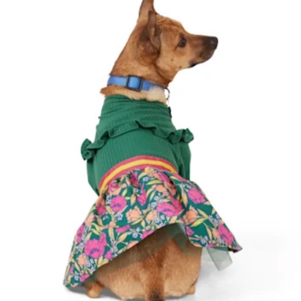 NWT YOULY Sweater dog dress XS